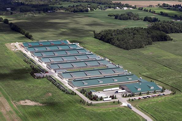 Ningbo Analizzatori Co.,Ltd